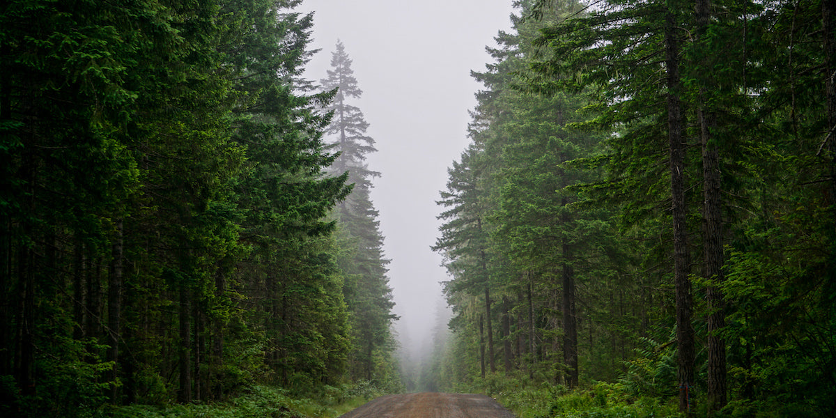 trayvax-2020-resolution-video