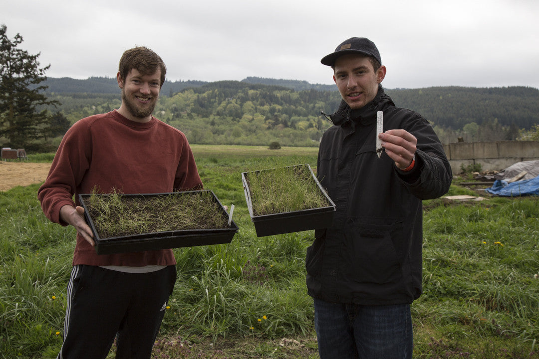 Photos: Volunteer Day with Growing Veterans