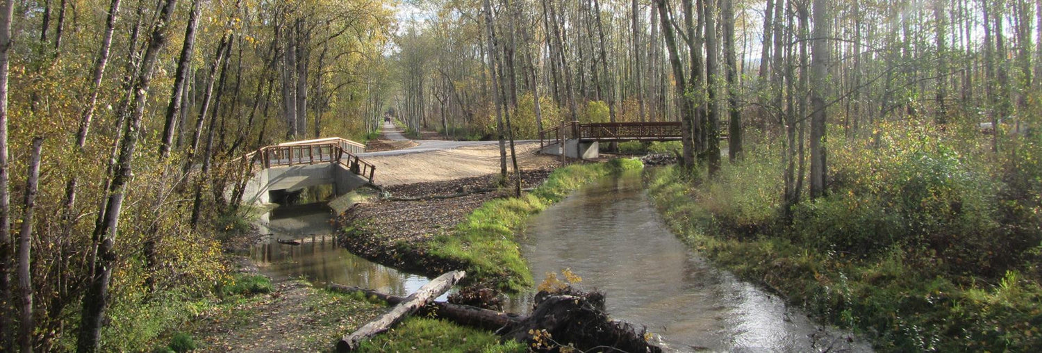 Giving Back: Earth Day