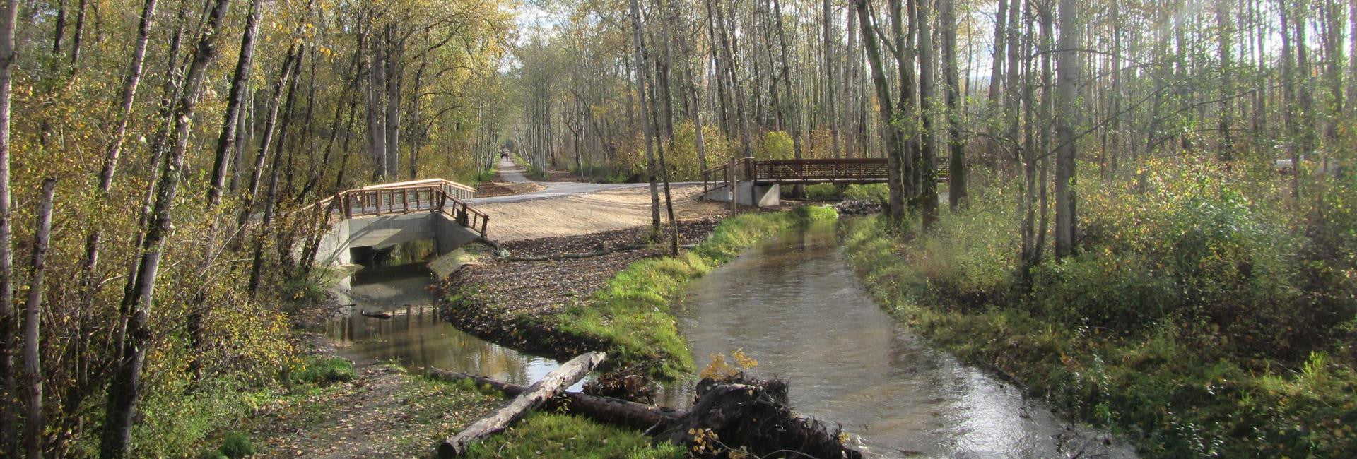 Giving Back: Earth Day