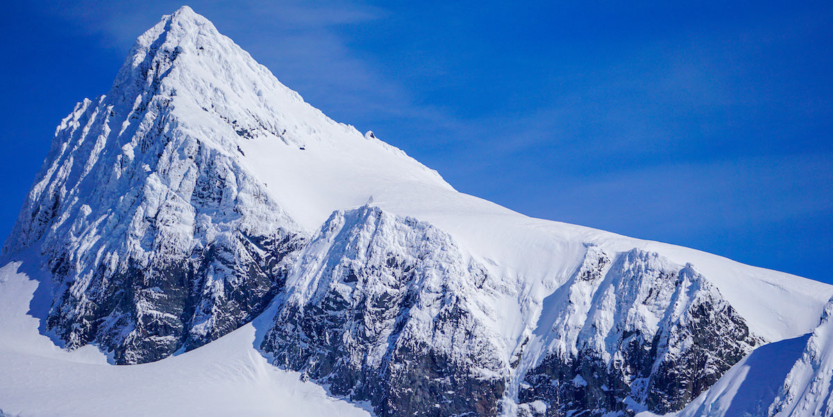 trayvax-blog-surviving-hard-times-shukshan