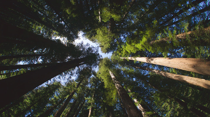 How Trayvax is Keeping American Manufacturing Sustainable