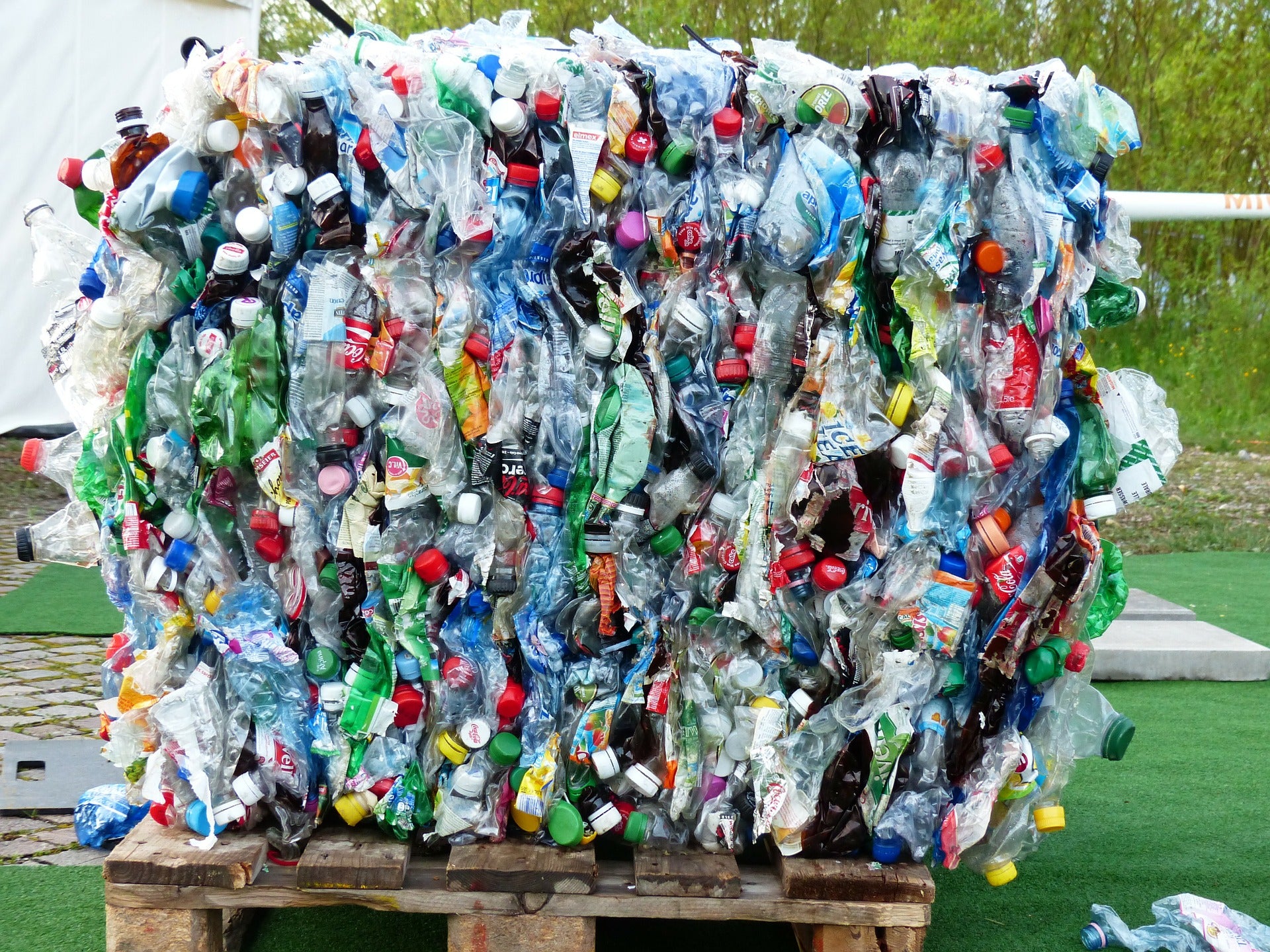 Pet Bottle Recycling