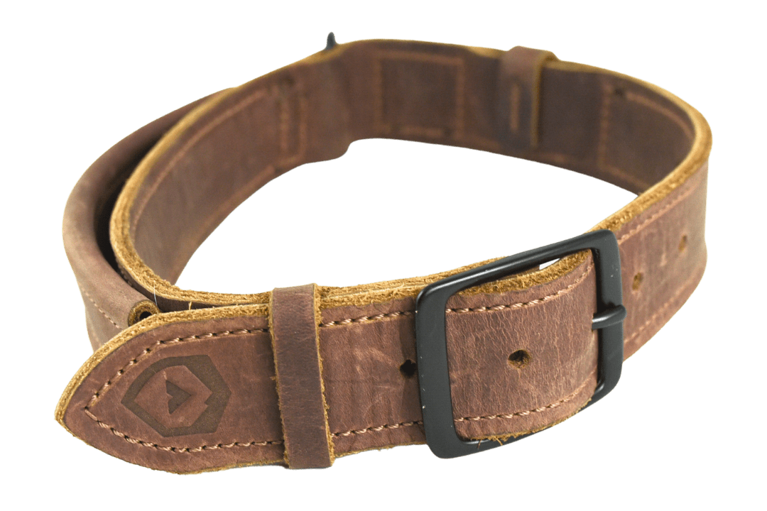 Beast Dog Collar