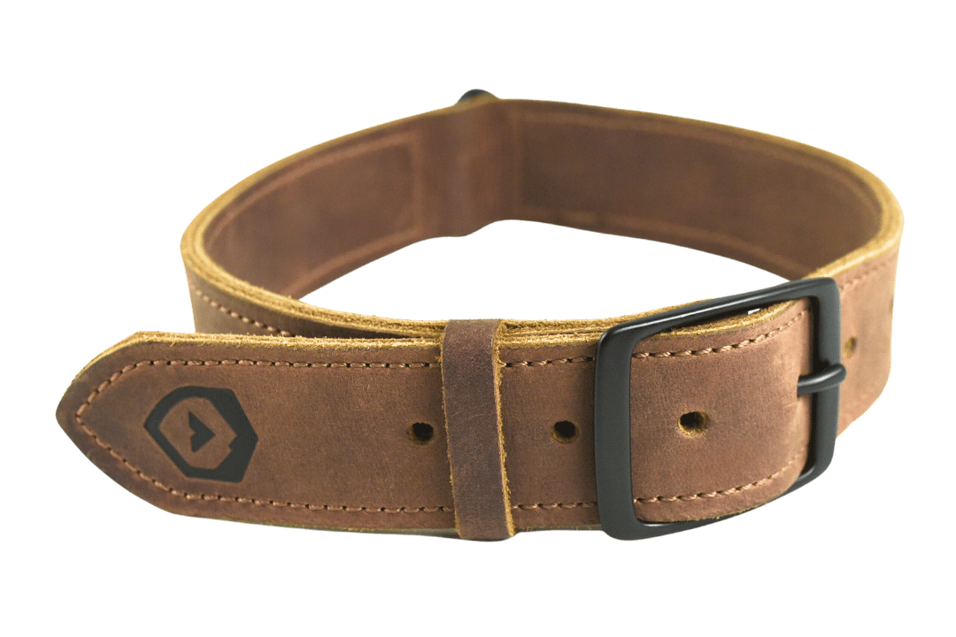 Trayvax Enterprises Essential Dog Collar