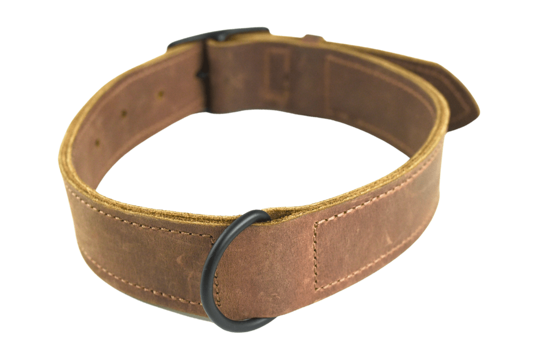 Trayvax Enterprises Essential Dog Collar