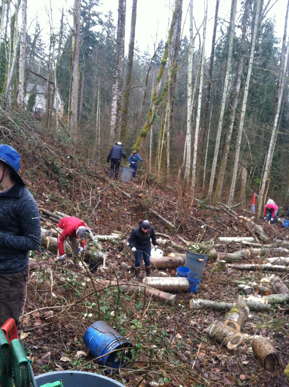 Giving Back: Winter Restoration Project