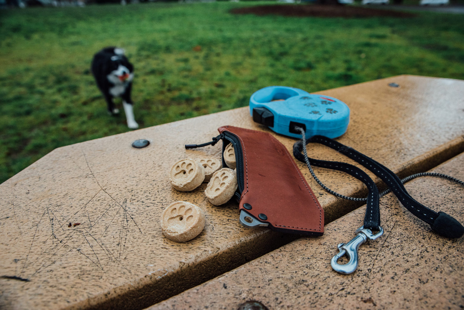 Crossbody Wallets and Wristlets: A Great Way To Go Compact and Minimalist