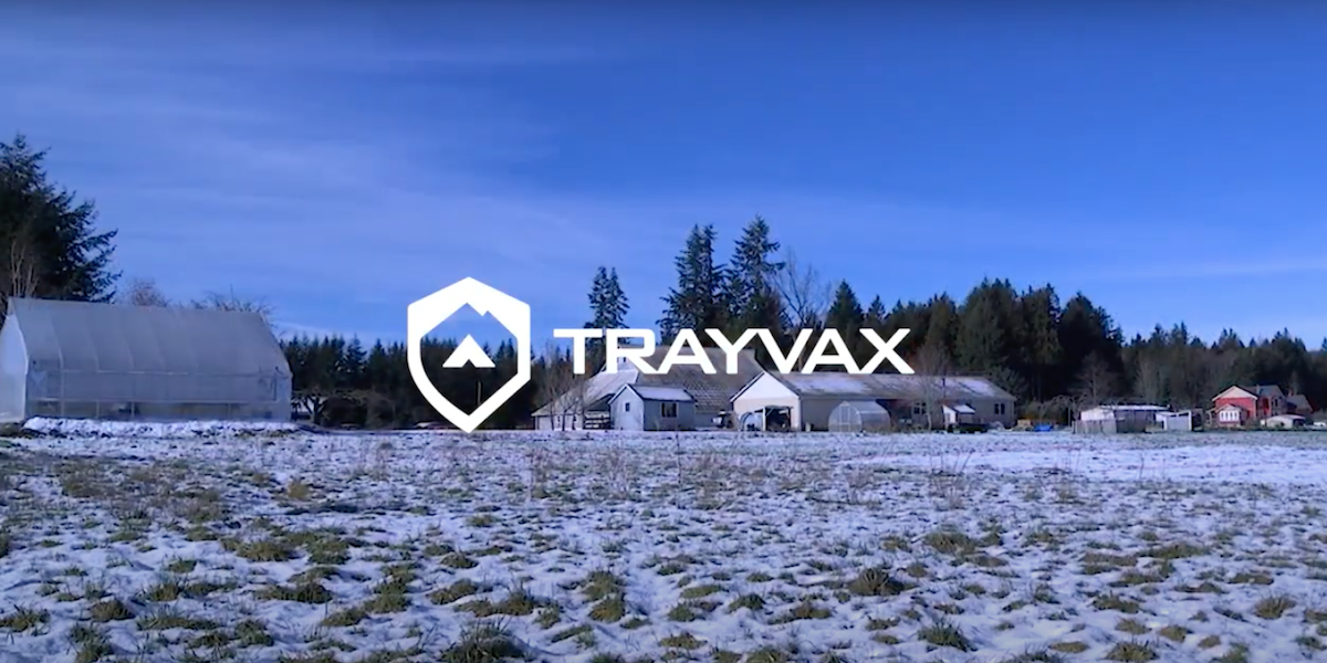 trayvax-growing-veterans-trading-rifles-for-shovels-cover