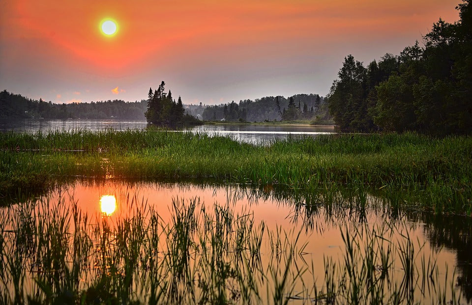 What Are the Major Threats to Wetland Ecosystems Around Southwestern United States?