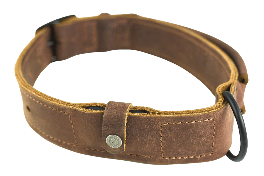 Trayvax Enterprises Dog Collar Beast Dog Collar