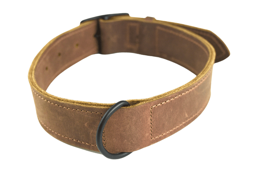 Trayvax Essential Dog Collar